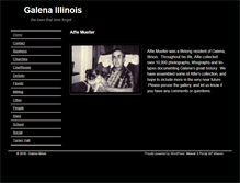 Tablet Screenshot of galenaillinois.com